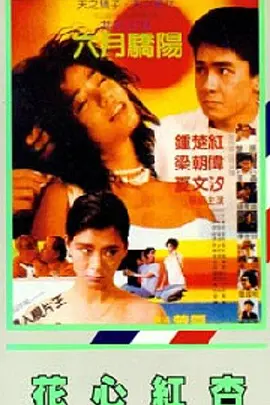 天天干夜夜噜